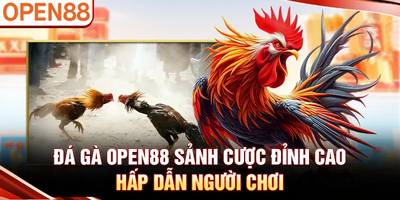 Đá gà OPEN88