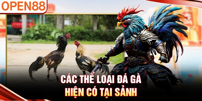 Các thể loại đá gà hiện có tại sảnh